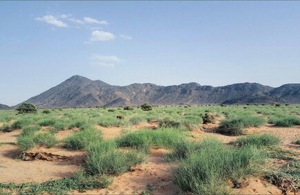 أفضل الضيافات في مكة المكرمة