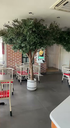 عريكة ريفي - أبها