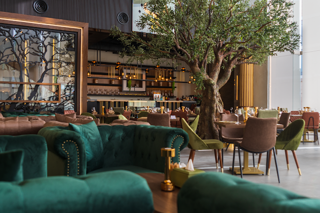 ماتادور كافي ولونج Matador Cafe & Lounge - الضيافة