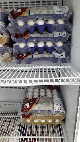 طيبات فدك للدواجن - الشعبه