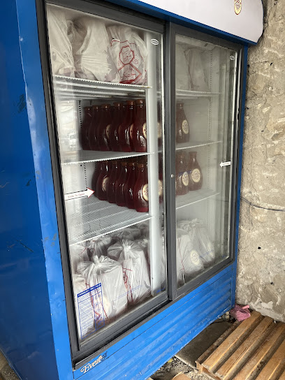 سوبيا سعيد الخضري