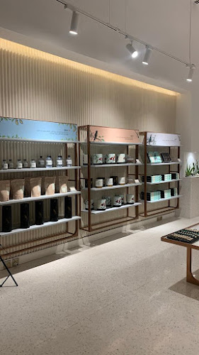 Comentarii opinii despre Anoosh