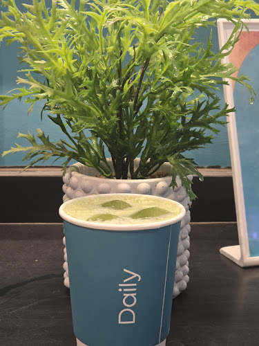 ديلي كب - الليث