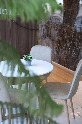 ضيافة المجلس