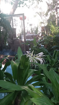 طريق الكورنيش الفرعي، الشاطئ، جدة 23413