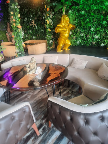 the Monkey's Lounge - الضيافة