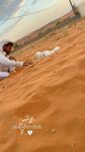 المزاحمية - المزاحمية