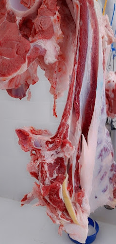 Comentarii opinii despre ملحمه مكه القيصومه