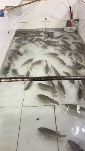 طريق الملك عبدالله، القادسية، رياض الخبراء 54662