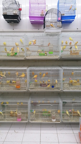 محل جنة الاحساء - الهفوف‎