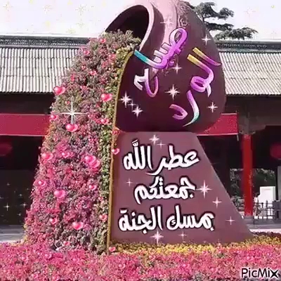 معجنات سالم