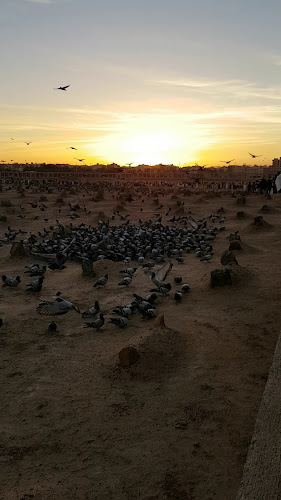 Opinii despre مطاعم بسمة الأمجاد în المدينة المنورة - الضيافة