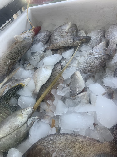 مطاعم الشيخ فهد عيد المزين للأسماك - شوران - المدينة المنورة