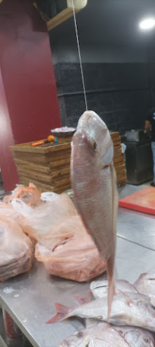 محل بدر عبد الروؤف المطرود - الضيافة