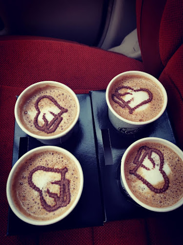 لحظات المساء - الضيافة