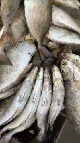 مطعم القبطان للاسماك الطازجة