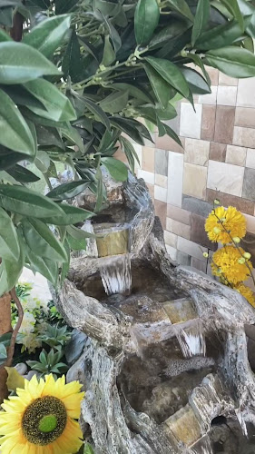 Comentarii opinii despre حديقة جاما