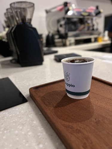 الشاطئ، القطيف‎ 32617