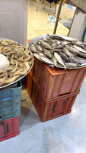 سوق السمك المركزي القطيف - الضيافة