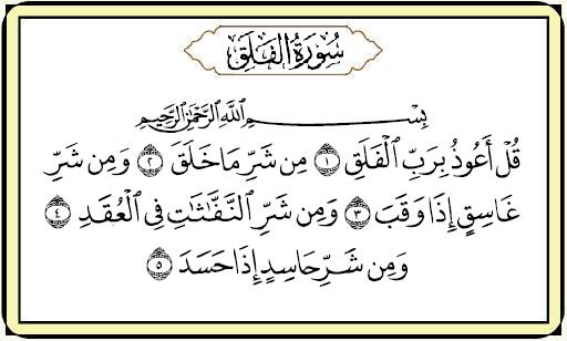ايسكريم روز - الضيافة
