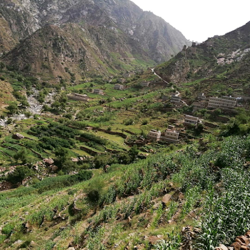 Opinii despre مطعم بيت المضغوط în تبوك - الضيافة