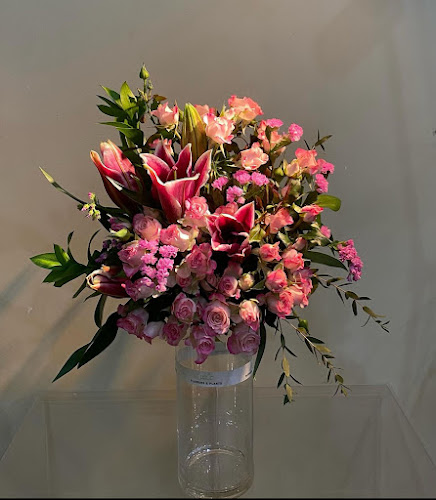 Comentarii opinii despre محل غصن للورد