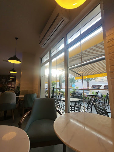 Single Cafe - سنجل كافية