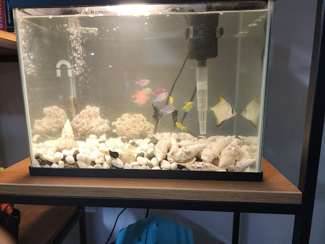 Opinii despre وايلد فاير în الرياض - الضيافة