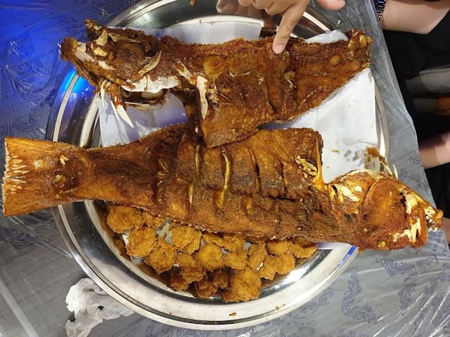 اسماك بحار غران 2