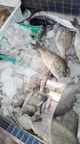 عالم البحار