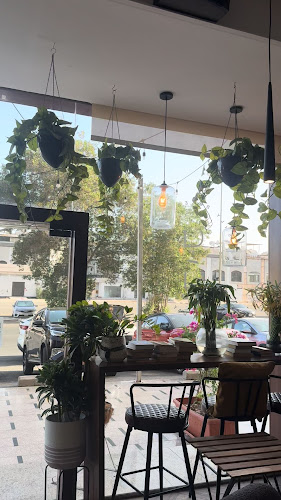 بيكري بار - جدة