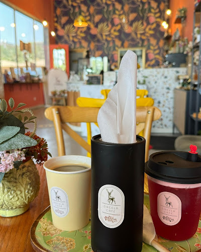 طريق مجلس التعاون، حي الخزامى، الخبر 34217