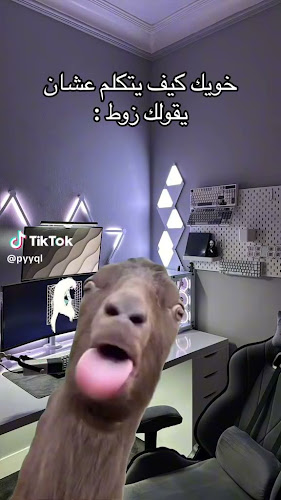 Opinii despre THNDR | ثندر în جدة - الضيافة