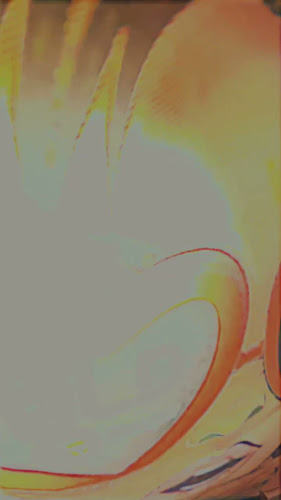 بولد برجر فرع تركية Bold Burger