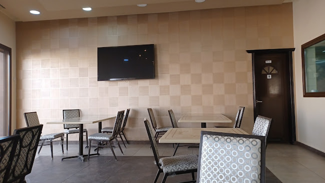 Comentarii opinii despre كتكوت