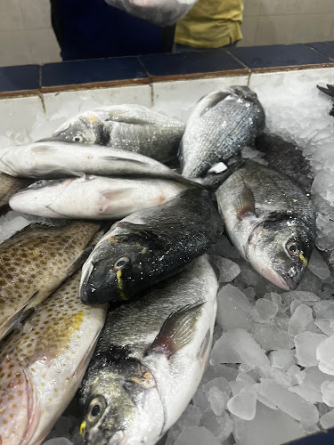 أصداف الجزر للأسماك - الرياض