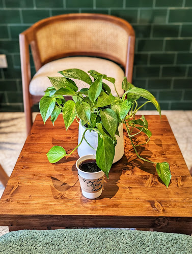 الفيز - الضيافة