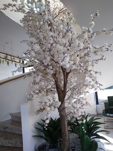 Comentarii opinii despre LA ROCCA | لاروكا كافيه