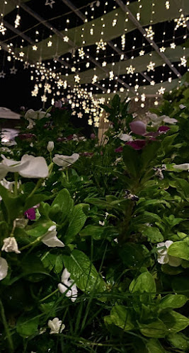 شارع الامام محمد عبد الوهاب, النزهة، الخرج 16439