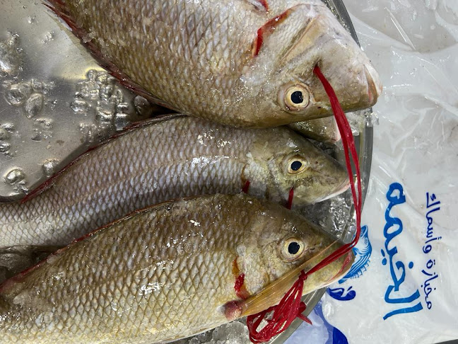 مطعم اسماك ومخبازة الخيمة للمأكولات الشعبية - الضيافة