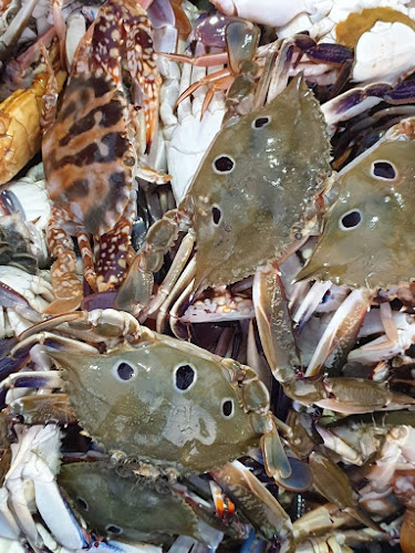 RED SEA FRESH FISH RESTAURANT BISHA مطعم البحر الاحمر - الضيافة