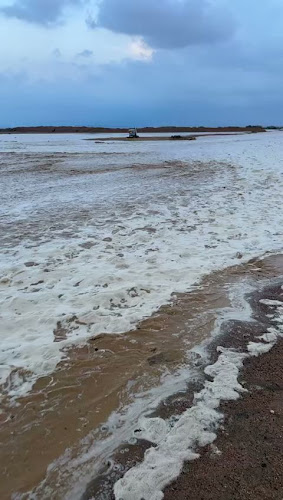 ينبع النخل فطير حي الجامعة حاليا في الصفا - الضيافة