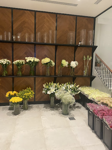 نباتات - الضيافة