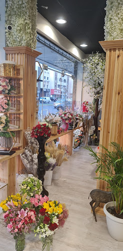 قاسم زينه، الروضة، جدة 23434