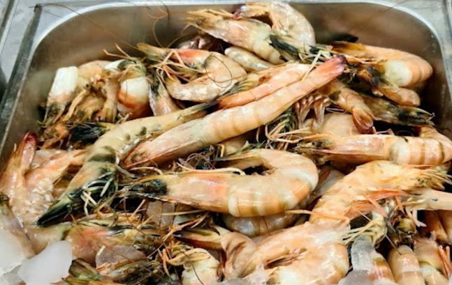 أصداف الجزر للأسماك - الضيافة