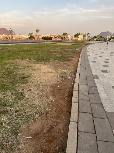 6706 الإمام الترمذي، الدفاع، DMSC2762، 2762، المدينة المنورة 42375