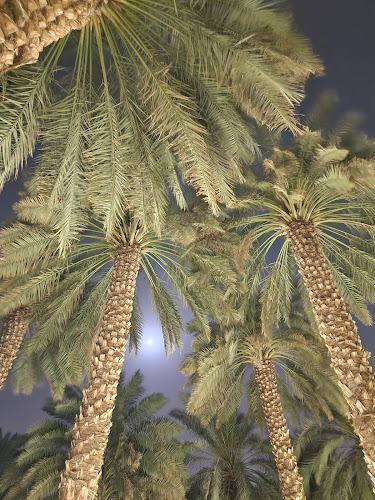 Comentarii opinii despre مقهى باسقة