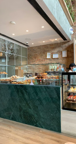 ذي سوشل كتشن