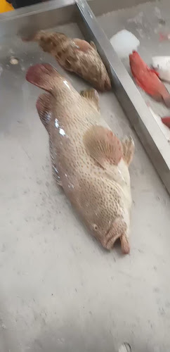 Comentarii opinii despre محل بدر عبد الروؤف المطرود