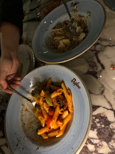 دلفينو - الرياض